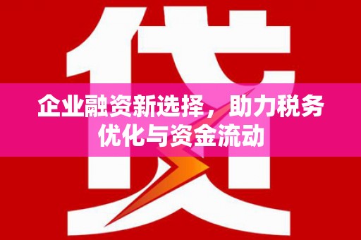 白山企业融资新选择，助力税务优化与资金流动