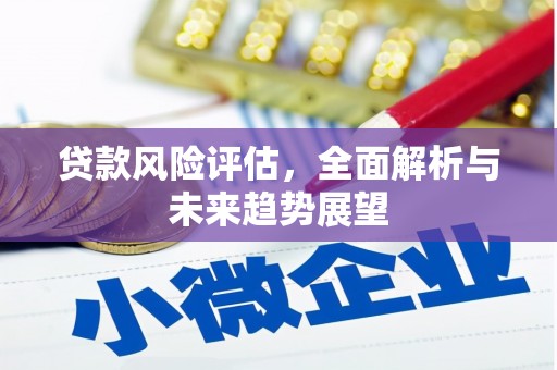 莎车贷款风险评估，全面解析与未来趋势展望