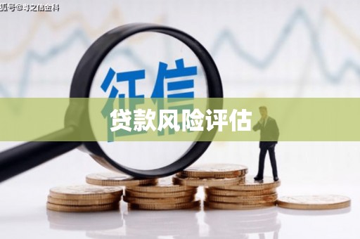 线西贷款风险评估