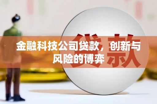 甘孜金融科技公司贷款，创新与风险的博弈