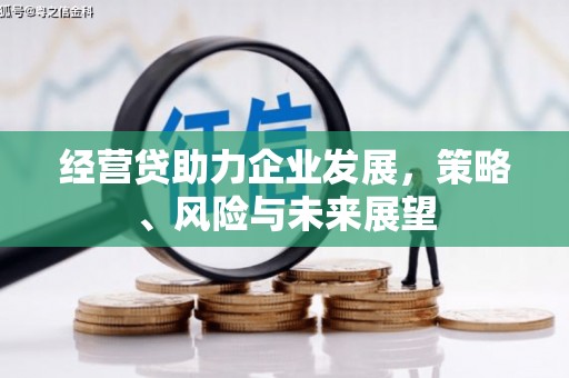 西昌经营贷助力企业发展，策略、风险与未来展望