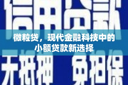 房县微粒贷，现代金融科技中的小额贷款新选择