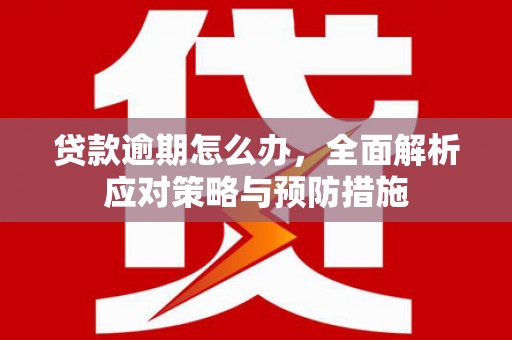 平陆贷款逾期怎么办，全面解析应对策略与预防措施