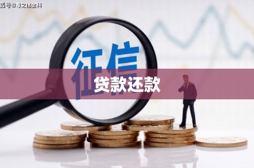 偃师贷款还款