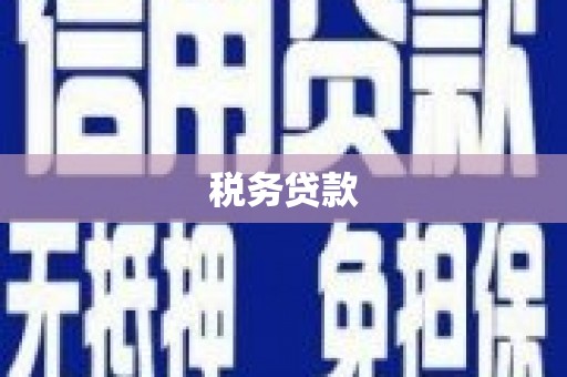 高邮税务贷款