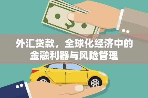 云和外汇贷款，全球化经济中的金融利器与风险管理
