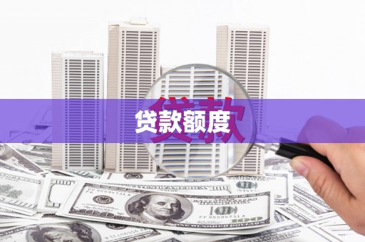 太和贷款额度