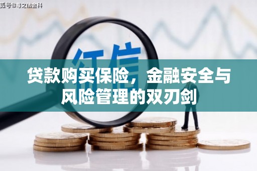 美溪贷款购买保险，金融安全与风险管理的双刃剑
