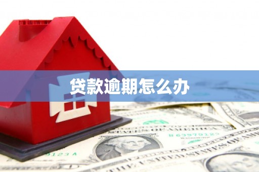 察布查尔锡伯贷款逾期怎么办