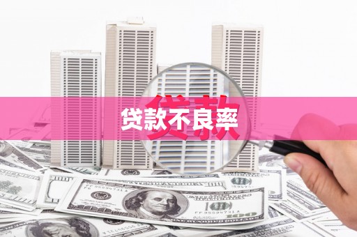 青川贷款不良率