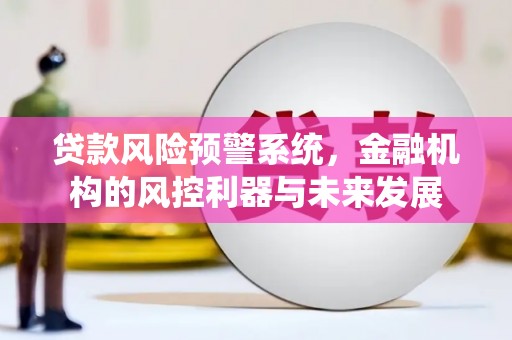 和静贷款风险预警系统，金融机构的风控利器与未来发展