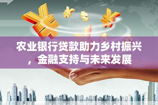 阜宁农业银行贷款助力乡村振兴，金融支持与未来发展