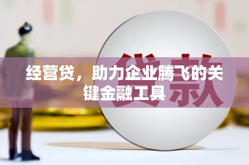 施甸经营贷，助力企业腾飞的关键金融工具