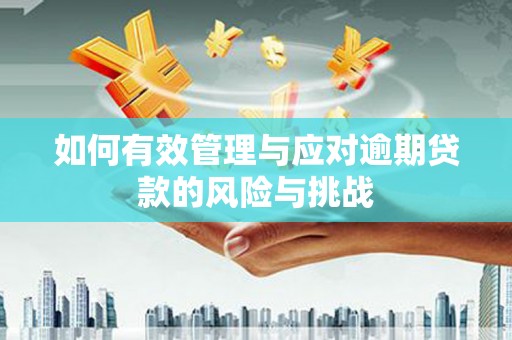 连云如何有效管理与应对逾期贷款的风险与挑战