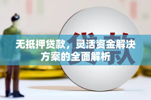 息县无抵押贷款，灵活资金解决方案的全面解析