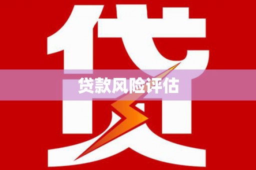 西平贷款风险评估