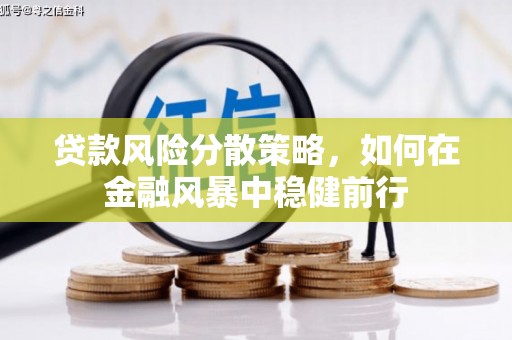 双阳贷款风险分散策略，如何在金融风暴中稳健前行