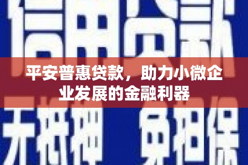 东丰平安普惠贷款，助力小微企业发展的金融利器