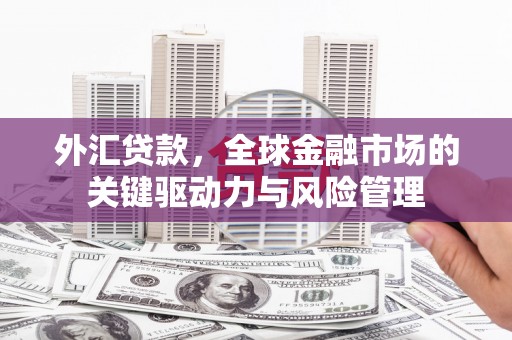 仙桃外汇贷款，全球金融市场的关键驱动力与风险管理