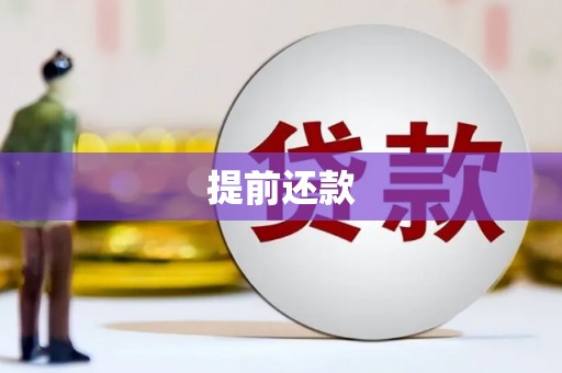 安定提前还款