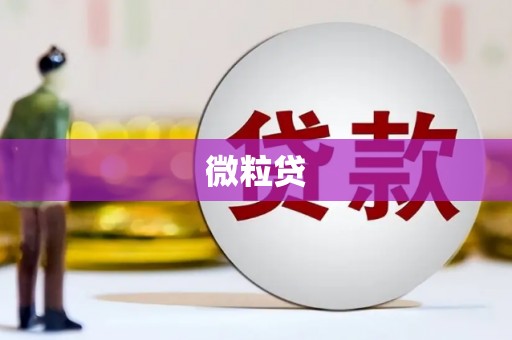 林园微粒贷