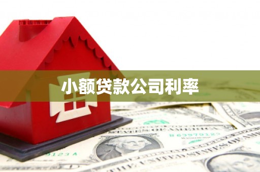 西昌小额贷款公司利率