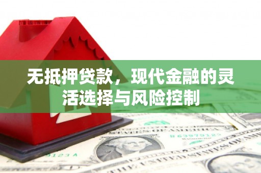 西夏无抵押贷款，现代金融的灵活选择与风险控制