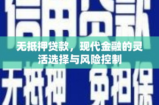 浦江无抵押贷款，现代金融的灵活选择与风险控制