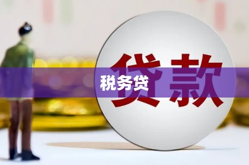 商南税务贷