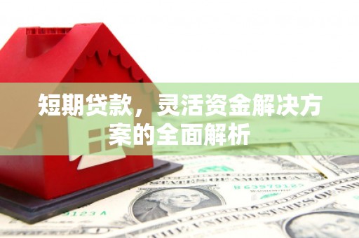 陆川短期贷款，灵活资金解决方案的全面解析