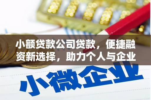 昌都小额贷款公司贷款，便捷融资新选择，助力个人与企业成长