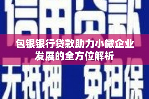 荔湾包银银行贷款助力小微企业发展的全方位解析