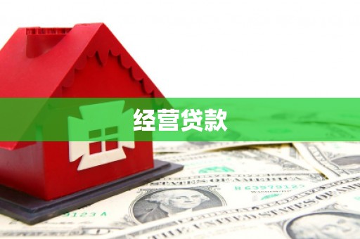 岳塘经营贷款