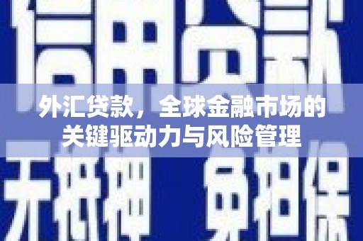 金昌外汇贷款，全球金融市场的关键驱动力与风险管理