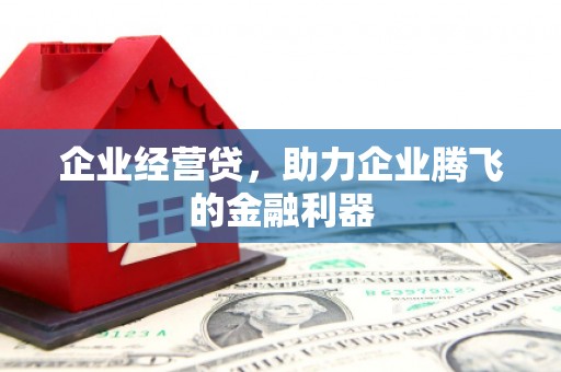 罗东企业经营贷，助力企业腾飞的金融利器