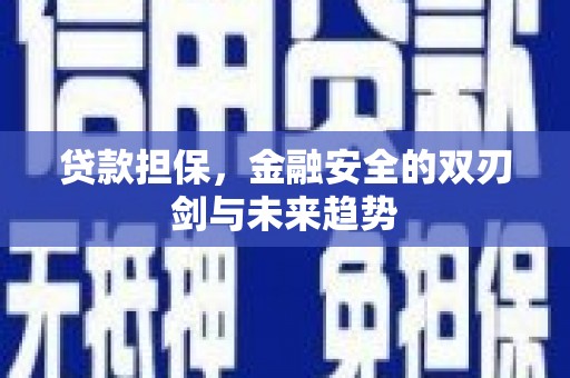 伊川贷款担保，金融安全的双刃剑与未来趋势