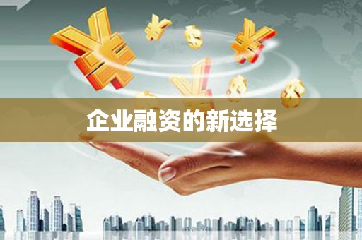 内湖企业融资的新选择