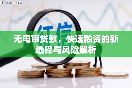 炉霍无电审贷款，快速融资的新选择与风险解析