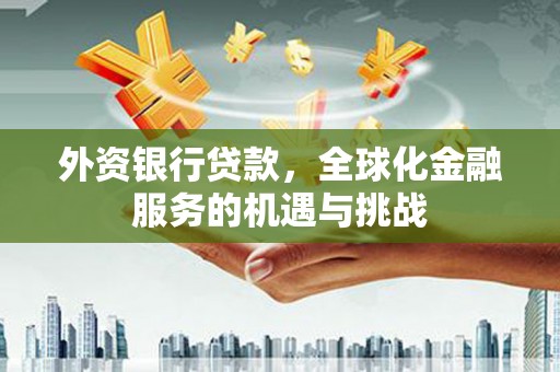 南华外资银行贷款，全球化金融服务的机遇与挑战