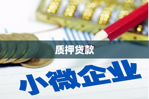 拉萨质押贷款
