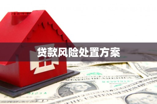 凤泉贷款风险处置方案