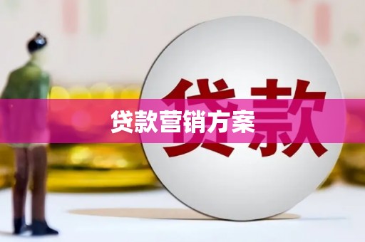 水里贷款营销方案