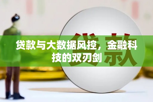 施秉贷款与大数据风控，金融科技的双刃剑