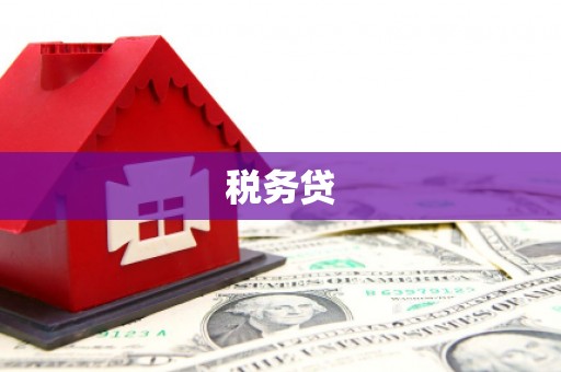 蒲城税务贷