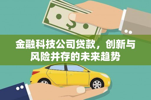 西和金融科技公司贷款，创新与风险并存的未来趋势