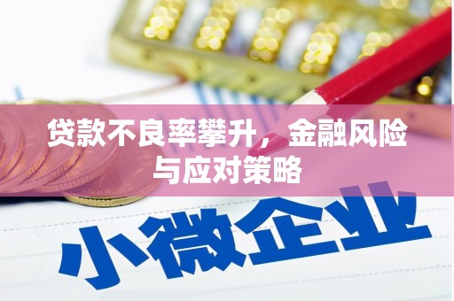通山贷款不良率攀升，金融风险与应对策略