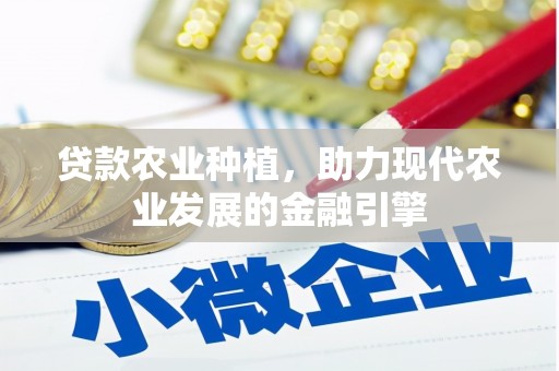 枋寮贷款农业种植，助力现代农业发展的金融引擎