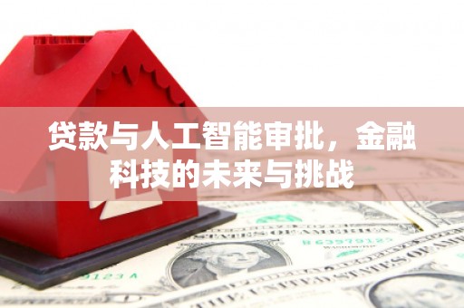 金安贷款与人工智能审批，金融科技的未来与挑战