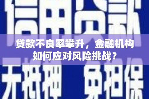 硚口贷款不良率攀升，金融机构如何应对风险挑战？