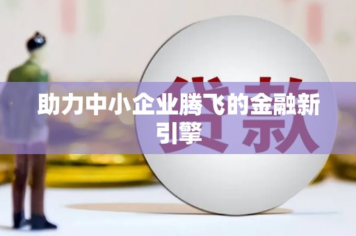 中坜助力中小企业腾飞的金融新引擎